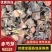 安徽亳州赤芍苗，五年壮苗，根系发达，成活率高，基地直供