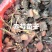 安徽亳州赤芍苗，五年壮苗，根系发达，成活率高，基地直供