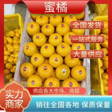 蜜橘柑橘皮薄多汁水分充足产地直发欢迎各地客商前来选购