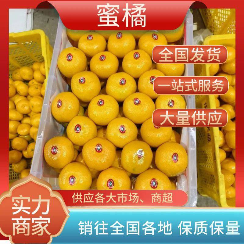 蜜橘柑橘皮薄多汁水分充足产地直发欢迎各地客商前来选购