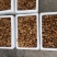 新鲜滑子菇，产地直供，鲜香十足，稳定供应，求采购商。