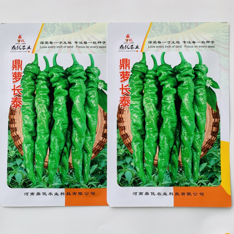 鼎优辣椒种子鼎萝长泰螺丝椒种子特大果深绿色香辣螺丝椒种籽