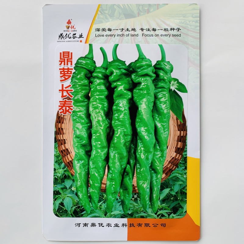 鼎优辣椒种子鼎萝长泰螺丝椒种子特大果深绿色香辣螺丝椒种籽