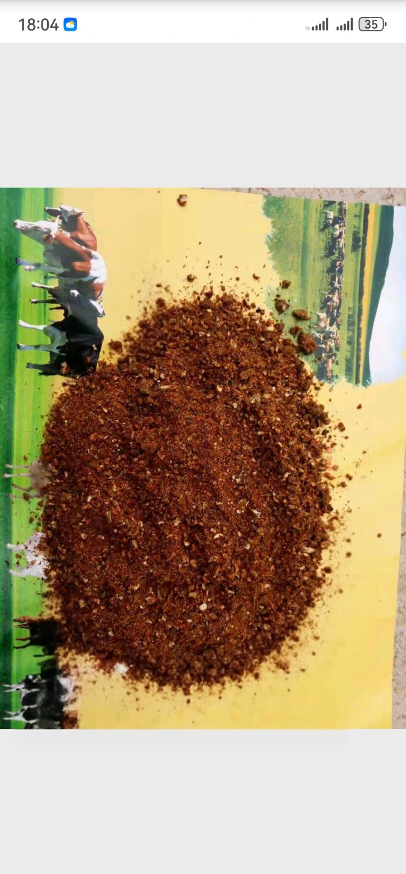 优质烘干枣粉牛羊用饲料枣粉猪用羊用家禽都可以用饲料厂家用