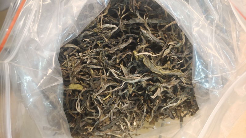 普洱茶（生茶）古树散茶南糯山原产地茶农直供
