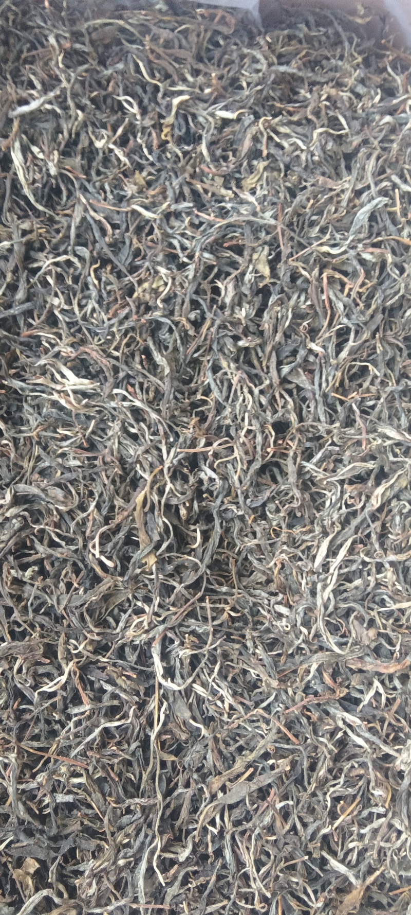 普洱茶（生茶）古树散茶南糯山原产地茶农直供