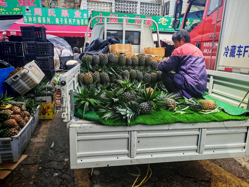 凤梨