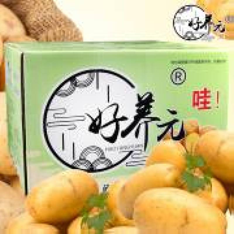 好养元土豆条厂里直发大量供应可视频看货欢迎来电采购