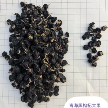 【精品大果】青海黑枸杞，源头一手货源品质保证，规格齐全