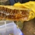 野生百花蜜放养蜂蜜价格实惠品质保证欢迎品尝