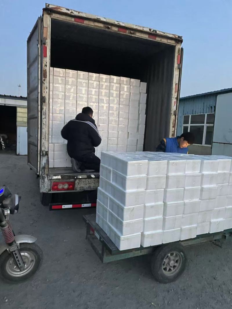 【山东黄瓜】玛莎黄瓜水果黄瓜产地直供可供全国商超电商社区