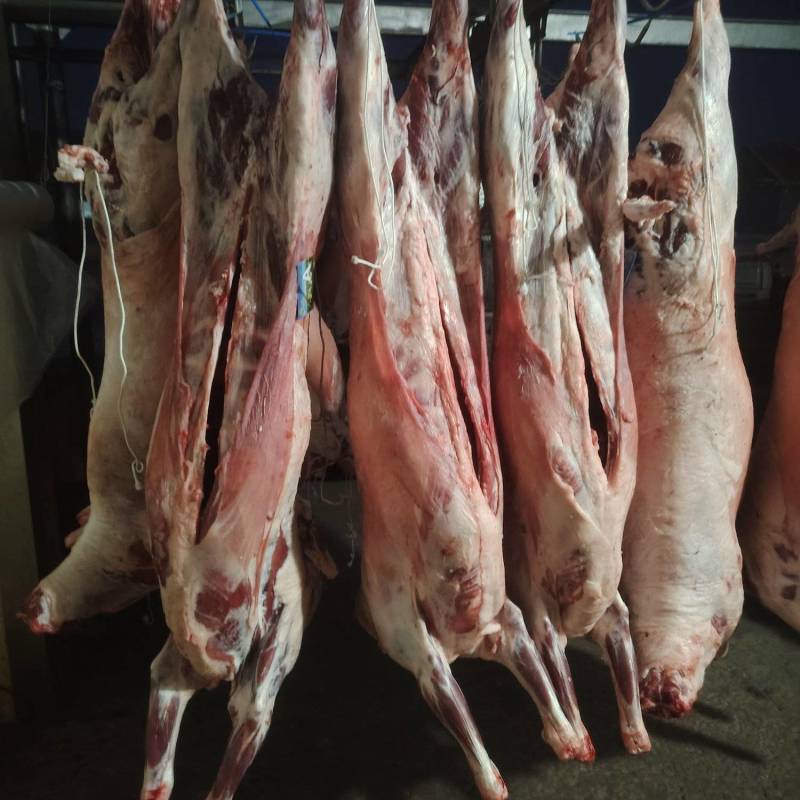 剃肉分割一级品质
