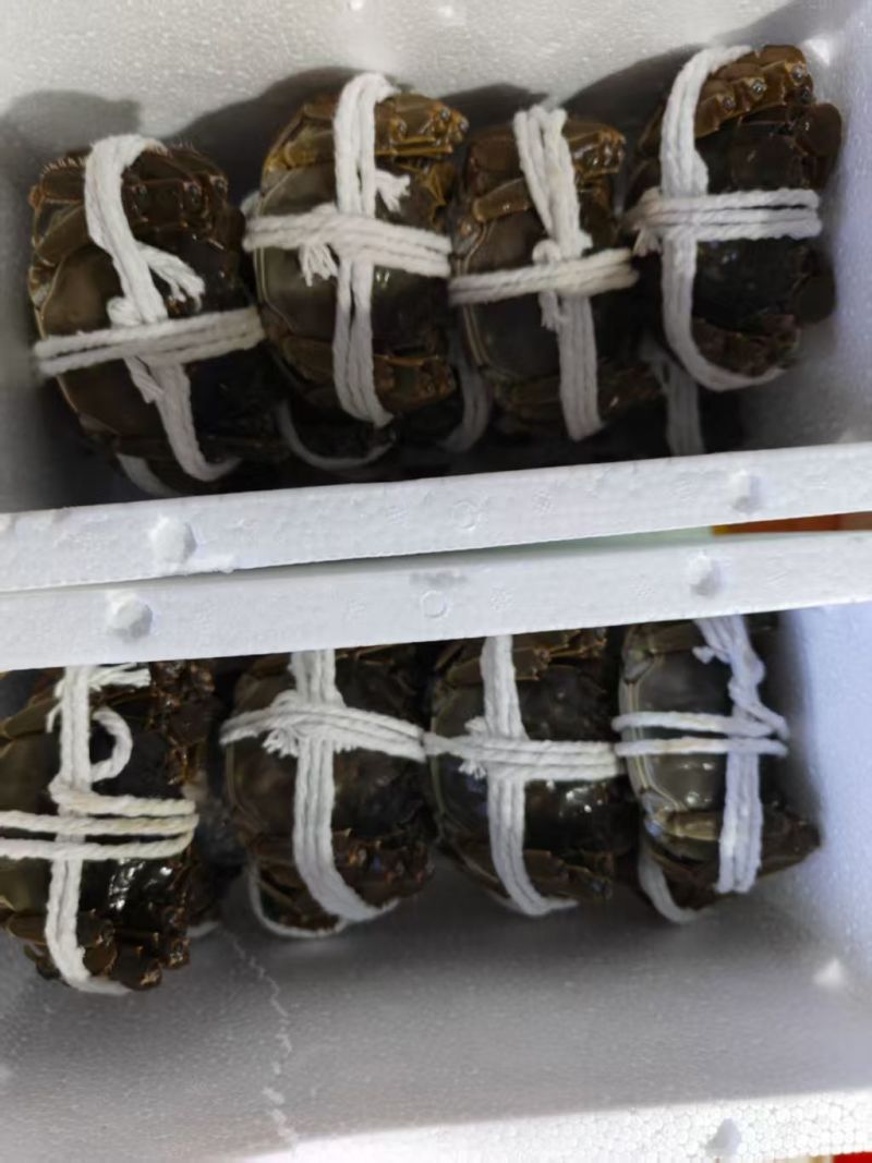 江苏红膏大闸蟹礼盒，12只装产自江苏省兴化市安丰镇杨坝村