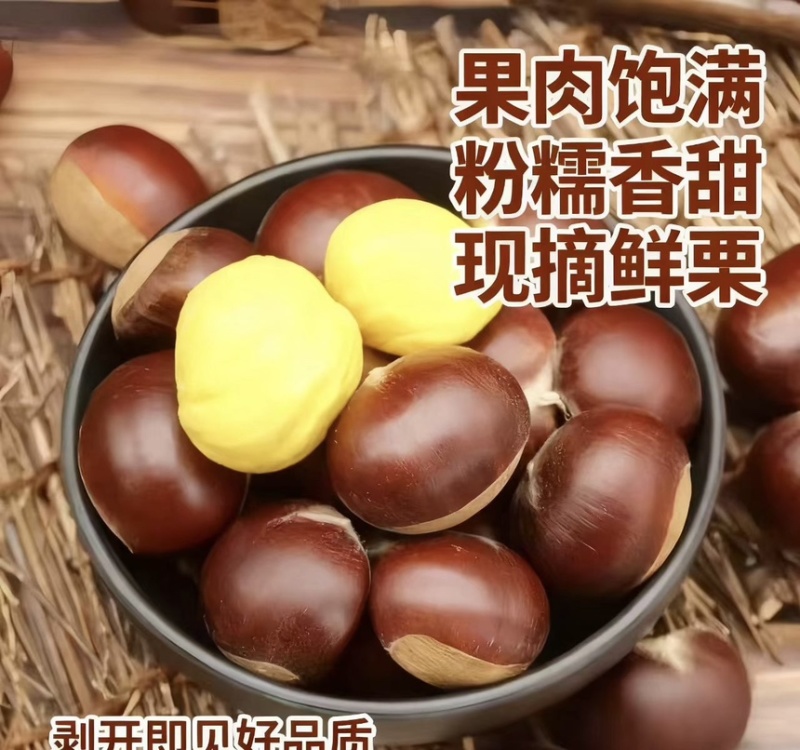 新鲜板栗品质保证货源充足欢迎各位老板电话咨询