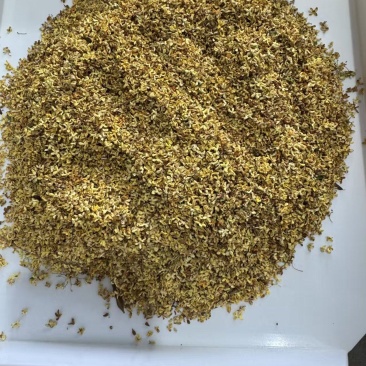 广西桂林干桂花新鲜上市价格美丽质量好走货快热卖中一手货源