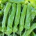 1薄皮椒芜湖椒【新优】欢迎致电洽谈价格【以质论价】保证质量
