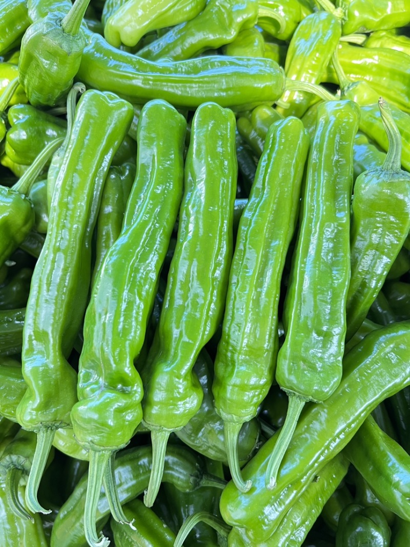 1薄皮椒芜湖椒【新优】欢迎致电洽谈价格【以质论价】保证质量