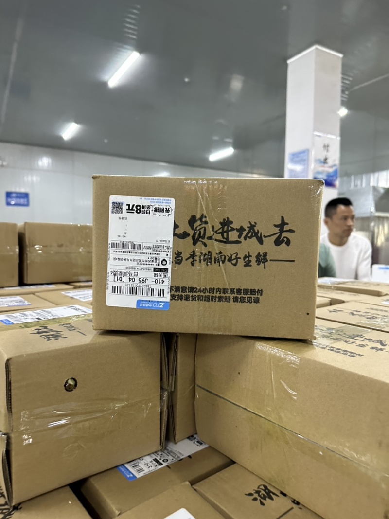 白玉丝瓜全年稳定供货