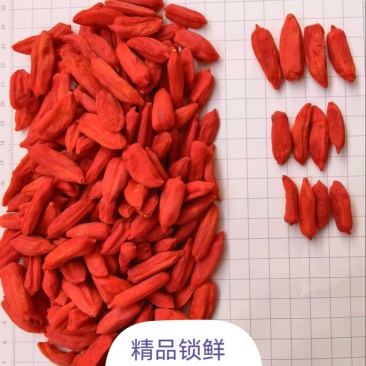 精品宁夏枸杞锁鲜果，原汁原味，大量可供，可视频看货