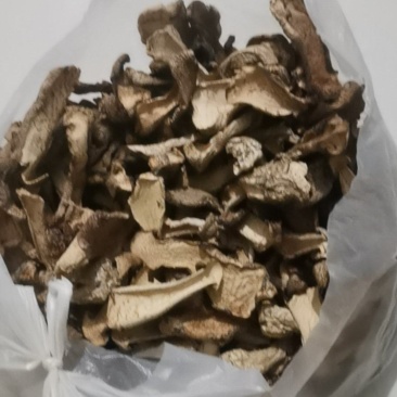 白银盘