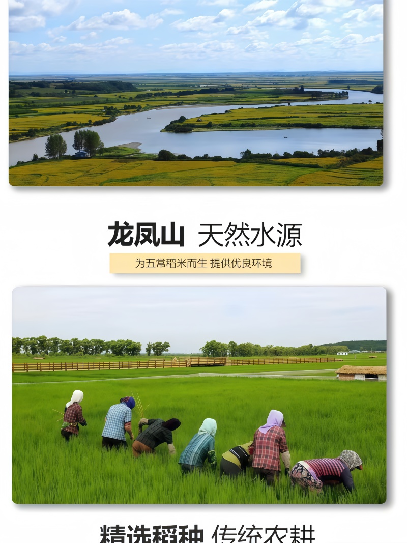 五常稻花香2号产自稻花香核心产区可对接电商团购