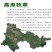 甘肃岷县提摩西草批发