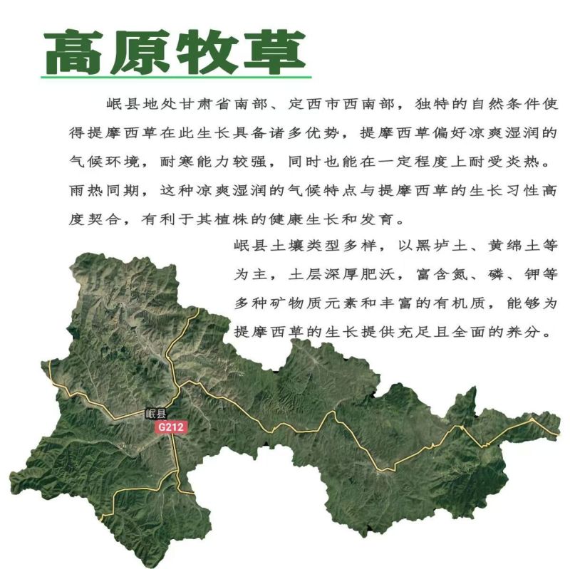 甘肃岷县提摩西草批发