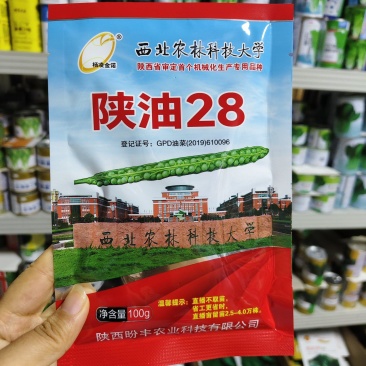 陕油28油菜种子直播不取苗省时省工抗病抗寒油菜籽种子抗倒