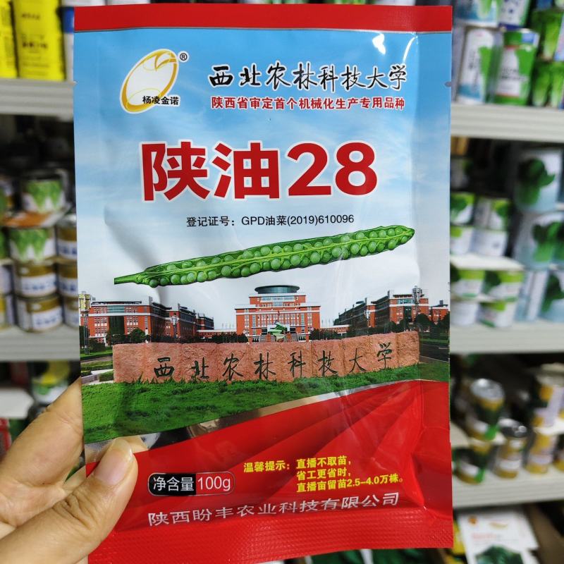 陕油28油菜种子直播不取苗省时省工抗病抗寒油菜籽种子抗倒