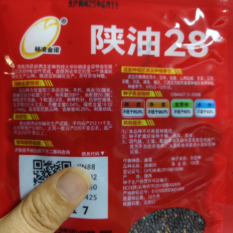 陕油28油菜种子直播不取苗省时省工抗病抗寒油菜籽种子抗倒