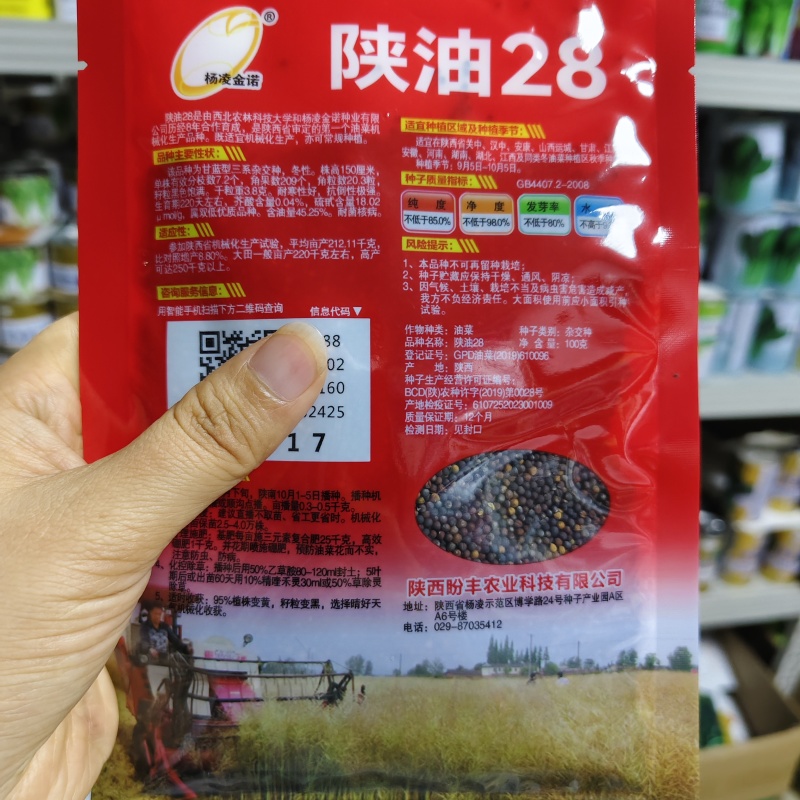 陕油28油菜种子直播不取苗省时省工抗病抗寒油菜籽种子抗倒