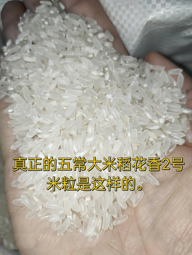 五常稻花香2号产自稻花香核心产区可对接电商团购