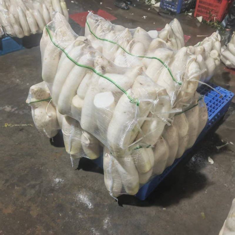 渣货白萝卜