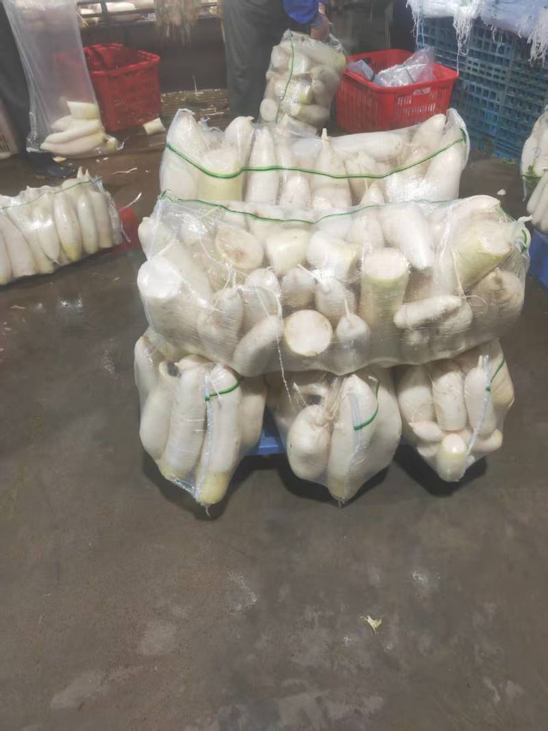 渣货白萝卜
