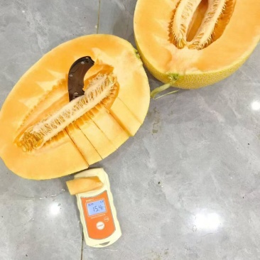 金色年华