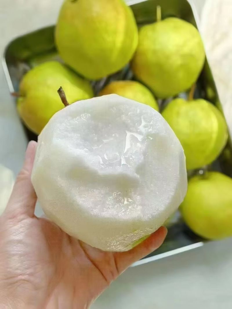 玉露香梨