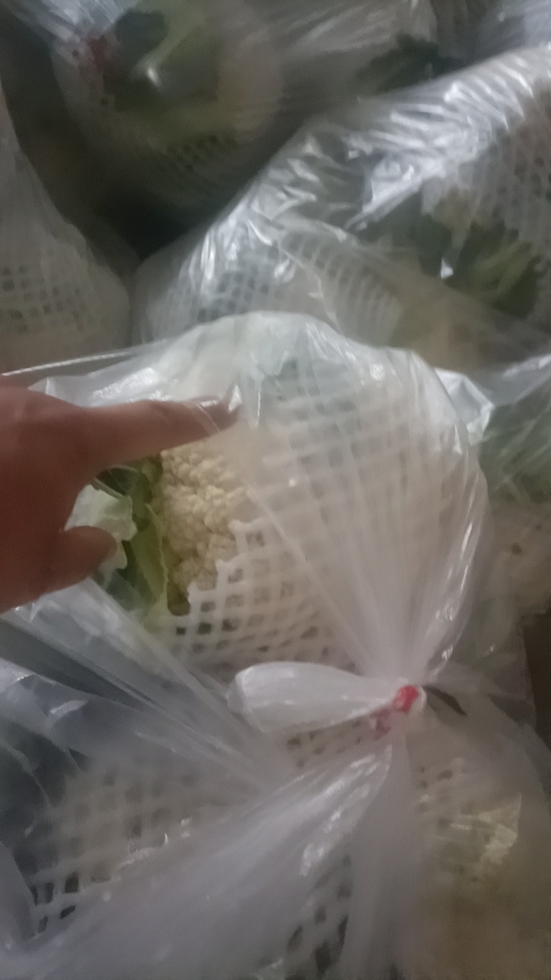产地直销，有机花，大量有货，价格美丽，需要的新老客户下单