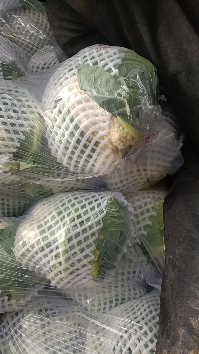 产地直销，有机花，大量有货，价格美丽，需要的新老客户下单