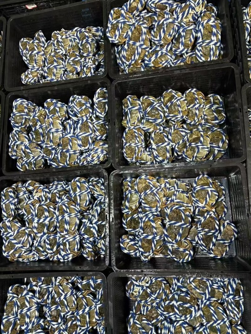 阳澄湖大闸蟹只做精品，质量保证，主营过港