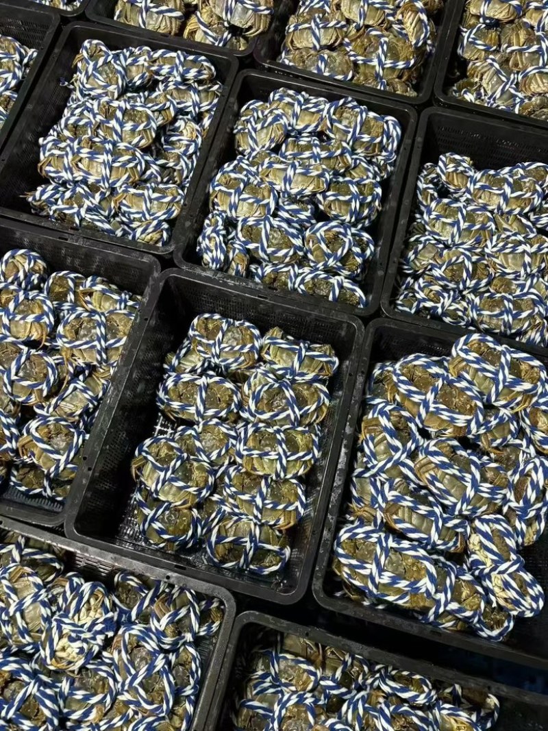 阳澄湖大闸蟹只做精品，质量保证，主营过港