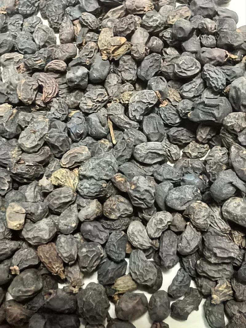 野生天然女贞子泡酒泡水泡茶冬青树籽散装成熟女真子