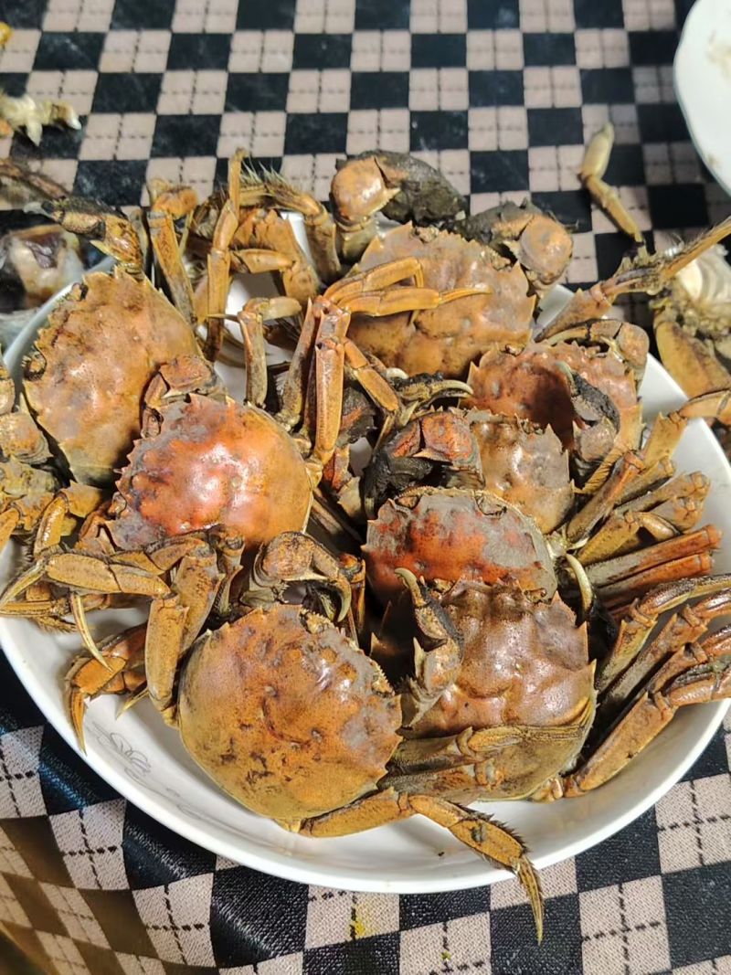 辽宁盘锦河蟹，农家自己养殖，稻田蟹，满膏满黄，大量批发了