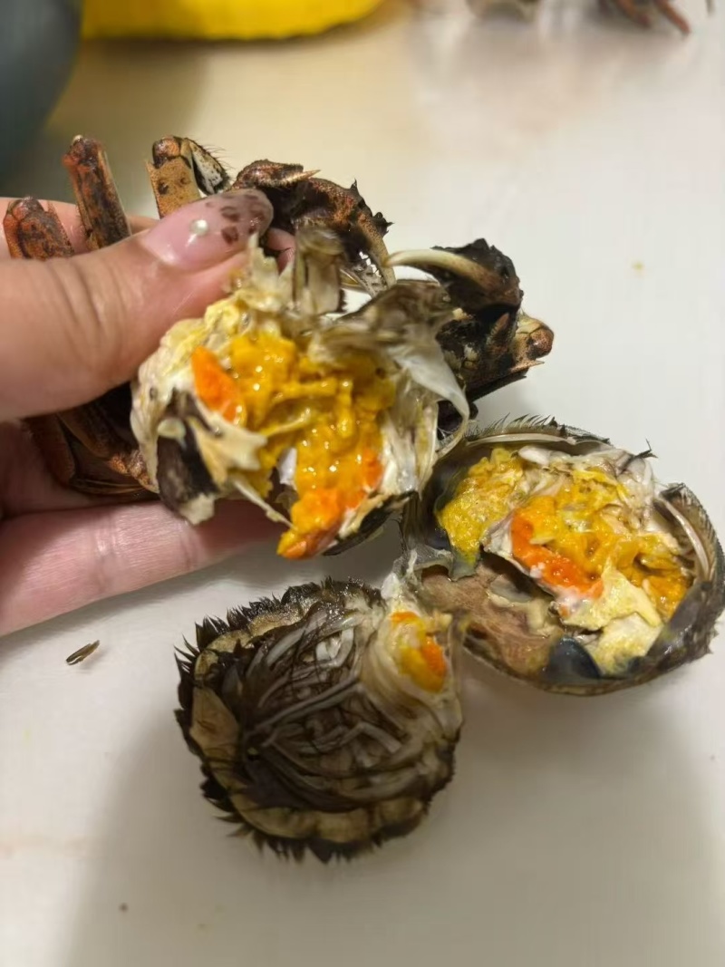 辽宁盘锦河蟹，农家自己养殖，稻田蟹，满膏满黄，大量批发了