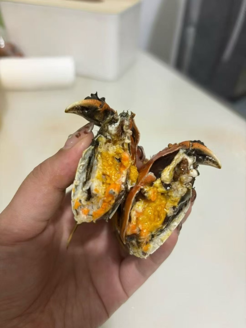 辽宁盘锦河蟹，农家自己养殖，稻田蟹，满膏满黄，大量批发了
