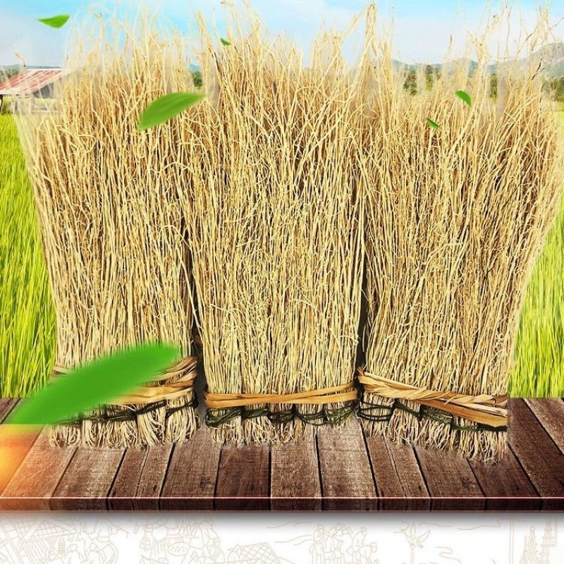 养肝草干货中药材***龙须草产地直销诚信经营