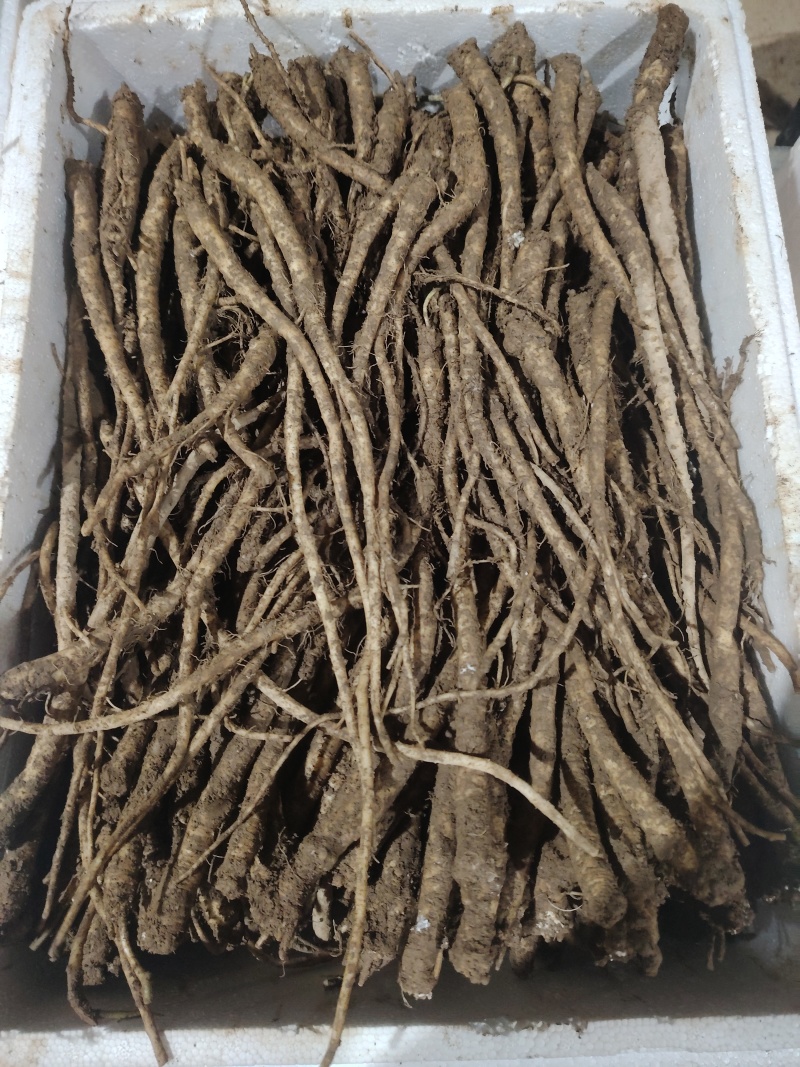 板党鲜货统货