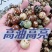菩提珠***绿琥珀菩提手串男女手持原珠原色菩