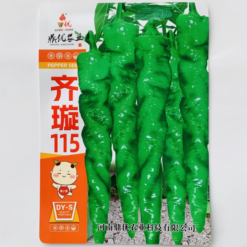 鼎优齐璇115辣椒种子香辣高产大果螺丝椒种子陇椒种子味辣