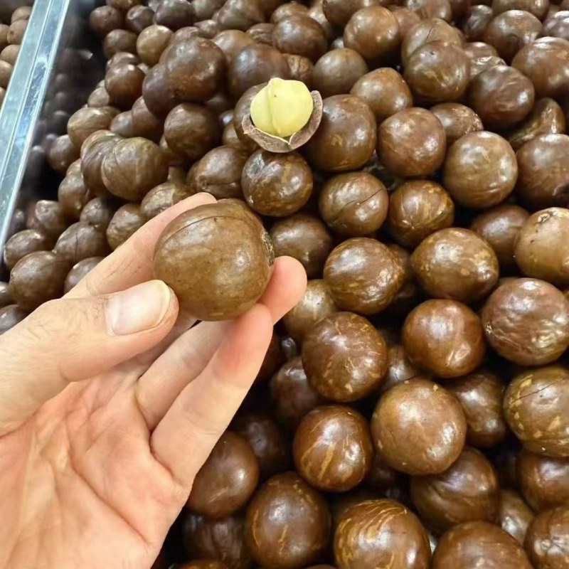 奶香夏威夷果