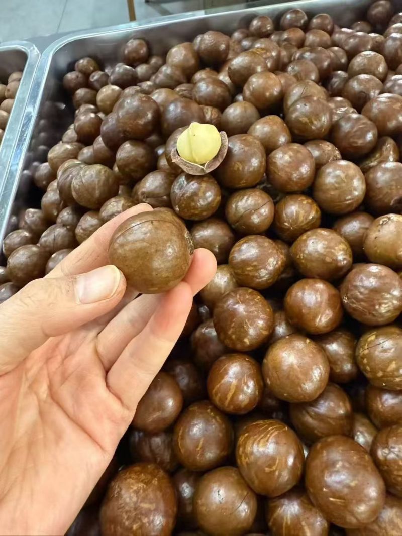 奶香夏威夷果